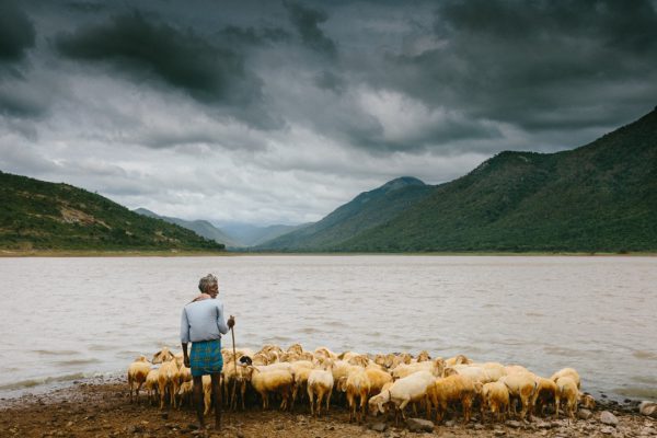 Shepherd the Flock of God