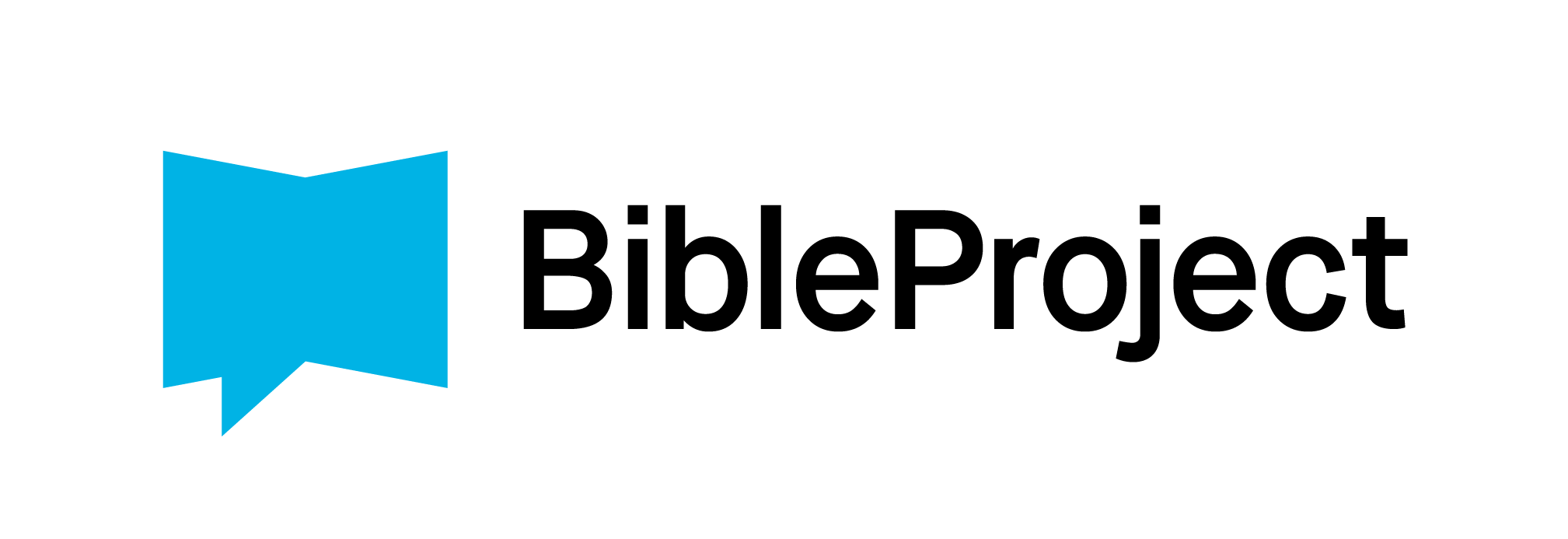 Bible Project