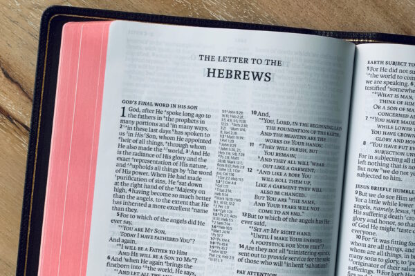 authorship of hebrews