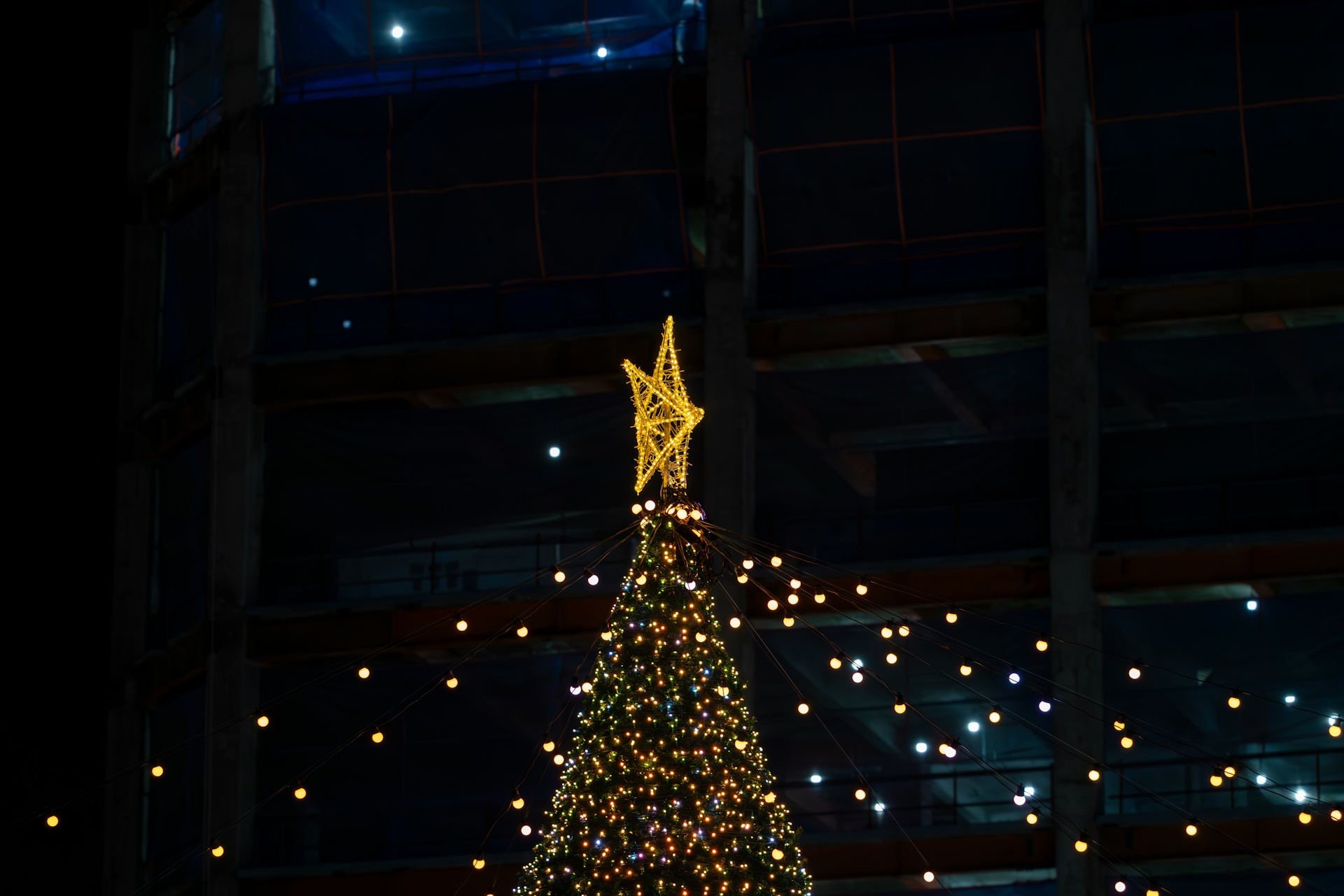 The bright and morning star - the king who outshines the rest