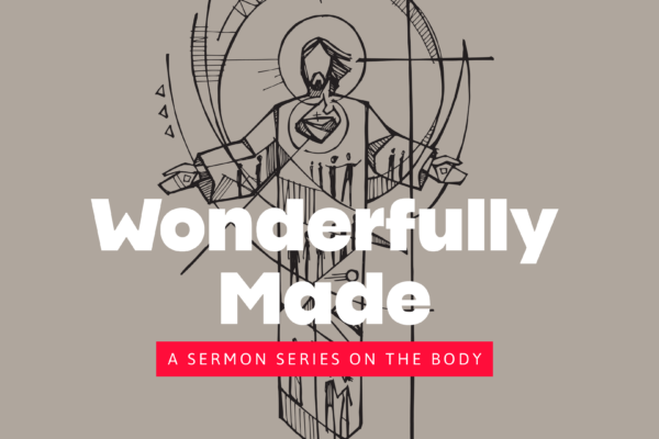 wonderfully made: a sermon series on the body