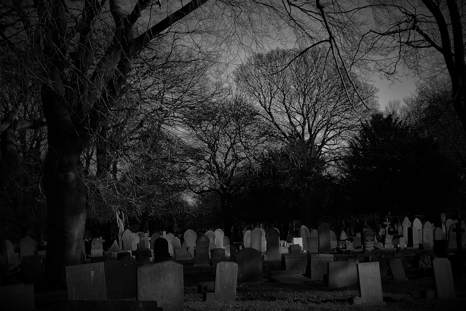 If Christ has not been raised