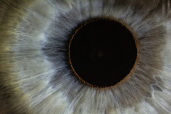 Apple of God's Eye